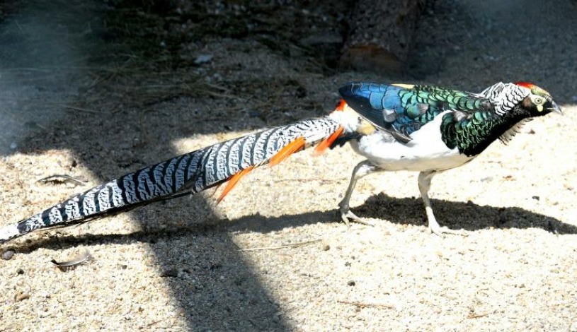 Lázeňský hotel PYRAMIDA I Františkovy Lázně
